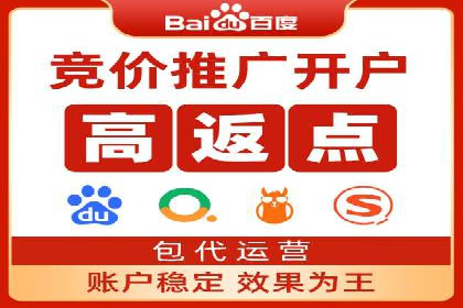 百度SEO推广案例解析与效果评估